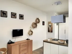 Prodej bytu 1+kk, Hustopeče, Mrštíkova, 50 m2