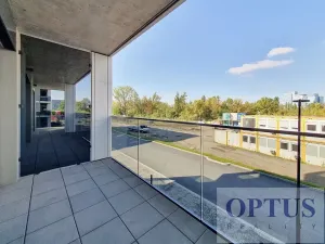 Pronájem bytu 1+kk, Praha - Karlín, Sokolova, 30 m2