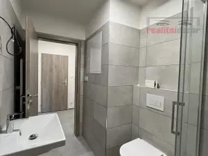 Pronájem bytu 1+kk, Brno, Křepelčí, 39 m2