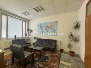 Pronájem skladu, Brno, Vychodilova, 713 m2