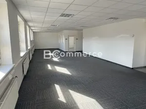 Pronájem skladu, Brno, Vídeňská, 1400 m2