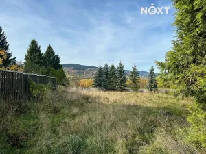 Prodej pozemku pro bydlení, Jeřmanice, Javornická, 10228 m2