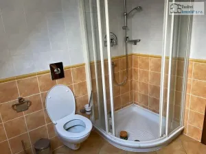 Pronájem bytu 1+kk, Brno, Bochořákova, 33 m2