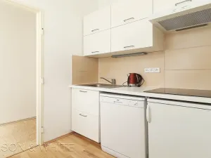 Pronájem bytu 1+1, Praha - Nové Město, Opletalova, 34 m2