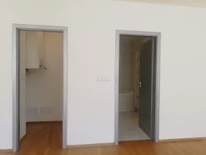 Pronájem bytu 1+kk, Praha - Smíchov, Fráni Šrámka, 46 m2