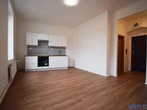 Pronájem bytu 2+kk, Ústí nad Labem - Krásné Březno, Drážďanská, 52 m2