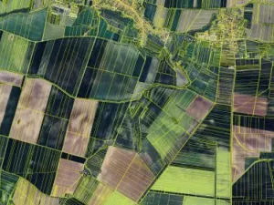 Prodej podílu pole, Dobelice, 471 m2