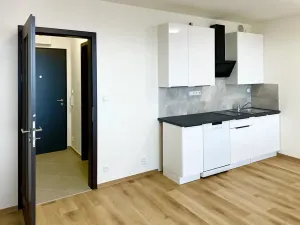 Pronájem bytu 1+kk, Praha - Dolní Měcholupy, Honzíkova, 28 m2