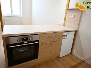 Pronájem bytu 1+kk, Ostrava, Palackého, 26 m2