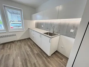 Pronájem bytu 1+kk, Brno - Maloměřice, Hády, 18 m2