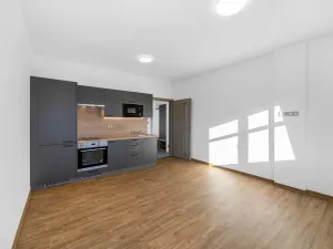 Pronájem bytu 1+kk, Plzeň - Severní Předměstí, Bolevecká, 27 m2