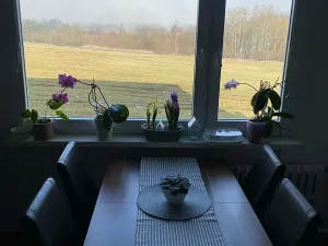 Prodej bytu 3+1, Česká Lípa, Železničářská, 62 m2