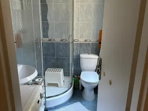 Pronájem bytu 1+kk, Praha - Žižkov, Lupáčova, 45 m2