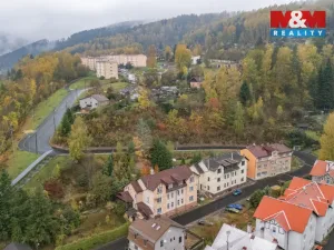 Prodej rodinného domu, Oloví - Hory, 800 m2