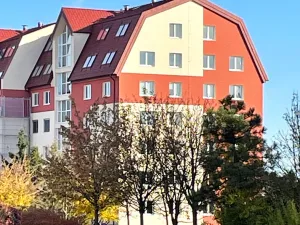 Pronájem bytu 1+kk, Brno - Líšeň, Molákova, 43 m2