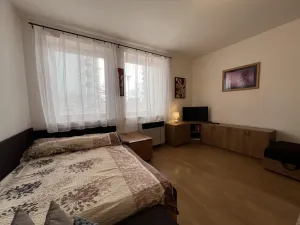 Pronájem bytu 1+kk, Třeboň - Třeboň II, U Francouzů, 28 m2