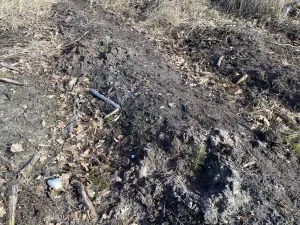 Prodej lesa, Veliny, 5028 m2