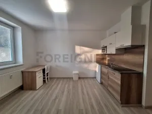 Pronájem bytu 1+kk, Olomouc, Lazecká, 25 m2