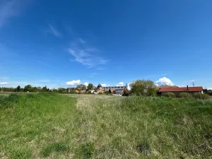 Prodej pozemku pro bydlení, Dašice, Pod Lipami, 733 m2