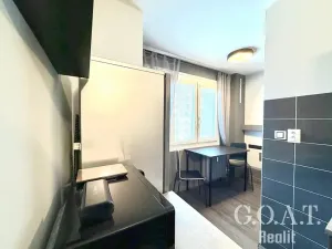 Prodej bytu 1+1, Plzeň, Na Dlouhých, 36 m2