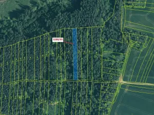 Dražba lesa, Hosty, 1735 m2