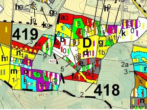 Dražba lesa, Pačejov, 3251 m2
