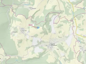 Dražba lesa, Nezdice na Šumavě, 10638 m2