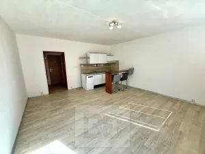 Pronájem bytu 1+kk, Plzeň, Toužimská, 32 m2