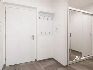 Pronájem bytu 1+kk, Brno, Ondřeje Sekory, 41 m2