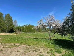 Prodej domu na klíč, Mimoň, Vranovská, 104 m2