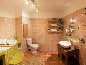 Prodej bytu 2+kk, Pardubice - Zelené Předměstí, Arnošta z Pardubic, 42 m2