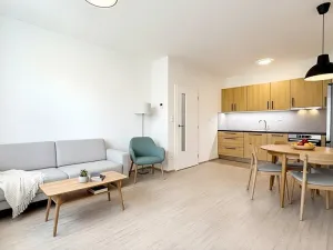 Pronájem bytu 2+kk, Brno, Hlinecká, 52 m2