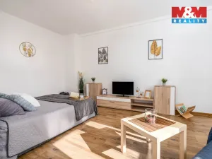 Prodej bytu 1+1, Hradec Králové - Pražské Předměstí, Gočárova třída, 41 m2