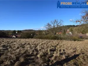 Prodej pozemku pro bydlení, Mirotice, 9991 m2