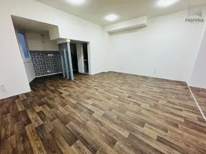 Pronájem obchodního prostoru, Brno, Ječná, 75 m2