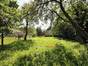 Prodej rodinného domu, Grešlové Mýto, 100 m2