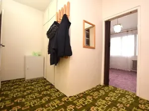 Prodej bytu 2+1, Tábor, 49 m2