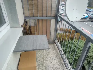 Pronájem bytu 3+kk, Praha - Bohnice, Radomská, 58 m2