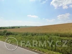 Prodej pole, Čejkovice, 194311 m2