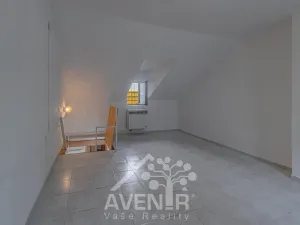 Prodej obchodního prostoru, Hodonín, Dolní Valy, 69 m2