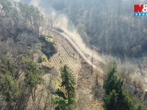 Prodej louky, Vysoká, 1003 m2