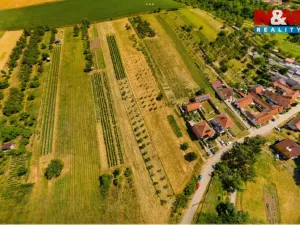 Prodej pozemku pro bydlení, Borkovany, 7835 m2