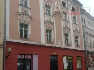 Prodej domu, Jihlava, Palackého, 490 m2