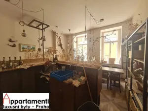 Pronájem restaurace, Praha - Staré Město, Veleslavínova, 150 m2