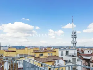 Prodej bytu 4+kk, Praha - Žižkov, Vinohradská, 139 m2