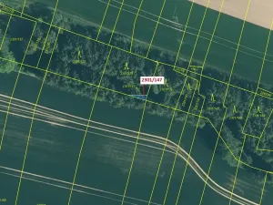 Dražba lesa, Hosty, 19 m2