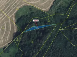 Dražba lesa, Letohrad, 282 m2