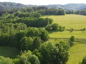 Dražba louky, Zábřeh, 2481 m2