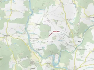 Dražba lesa, Hosty, 978 m2