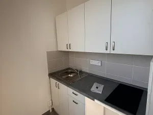 Pronájem bytu 1+1, Brno, Ibsenova, 34 m2